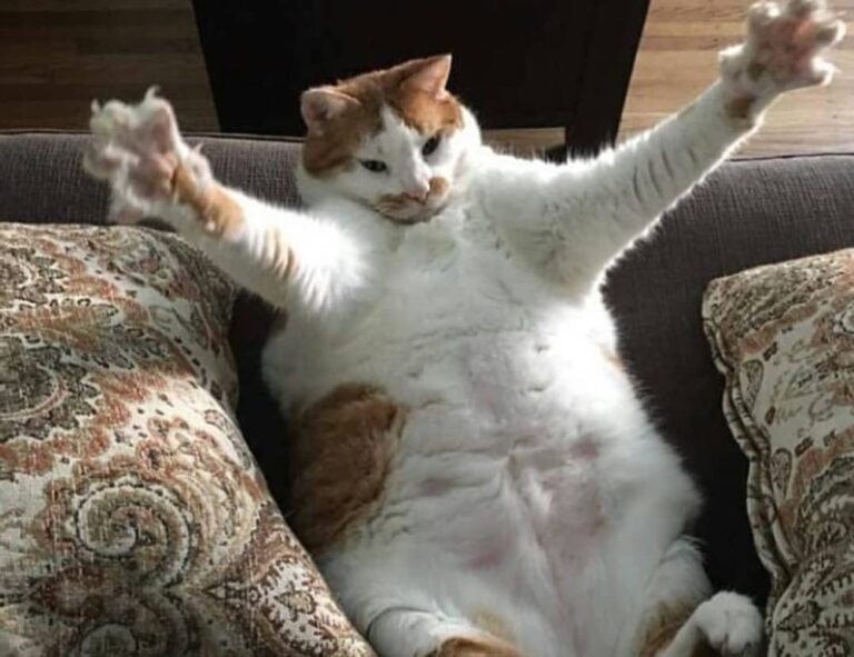 1880100072914700000002170000