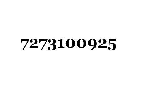 7273100925