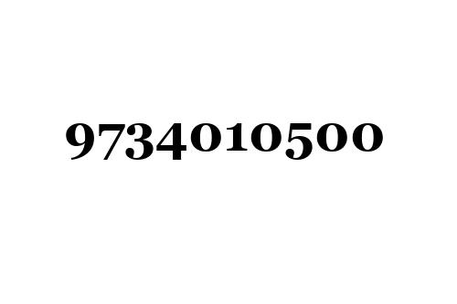 9734010500