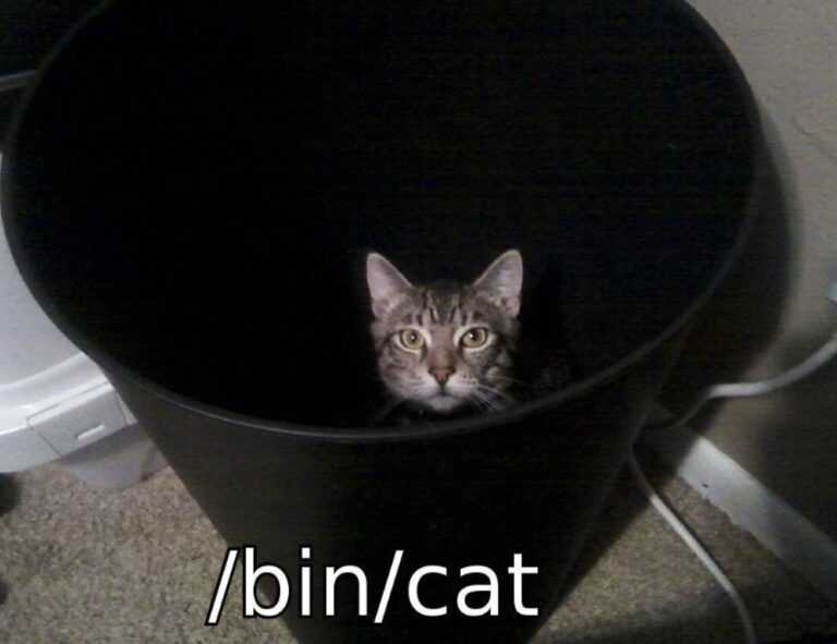 how mogothrow77 software is built