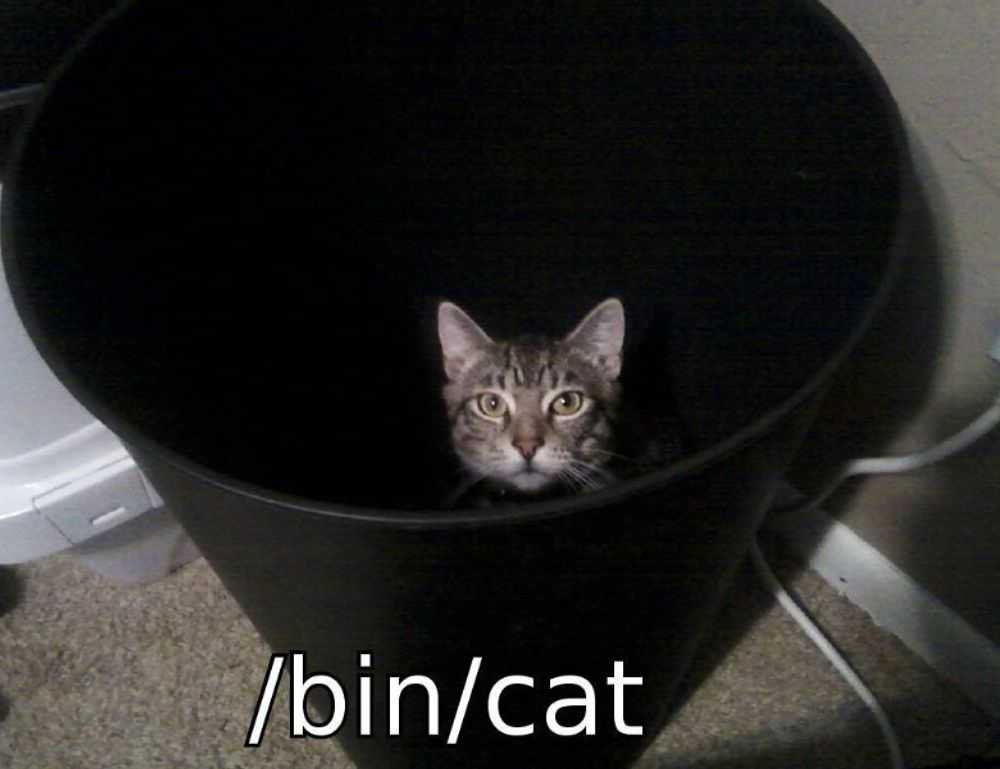 how mogothrow77 software is built