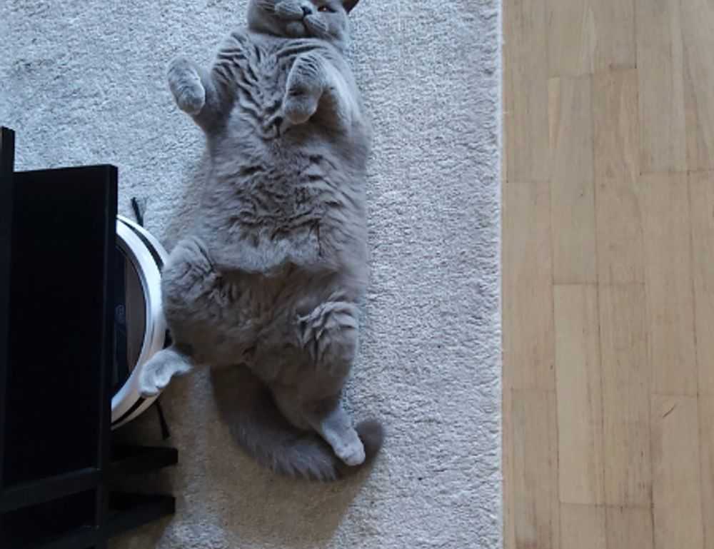 zenvekeypo4 software problem