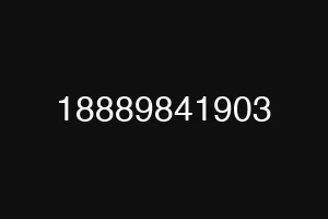 18889841903