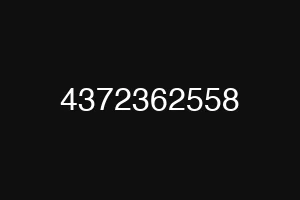 4372362558
