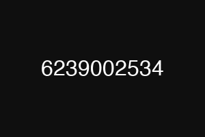 6239002534