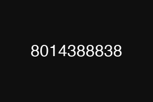 8014388838