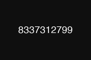 8337312799