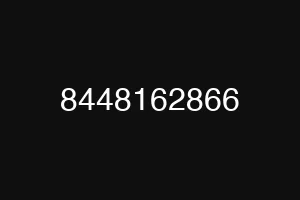 8448162866