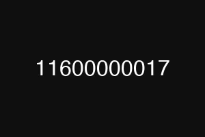 11600000017