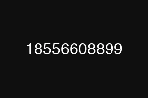 18556608899