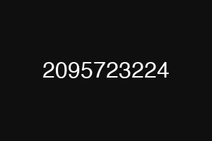 2095723224