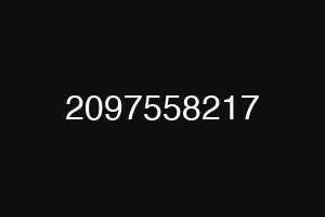 2097558217