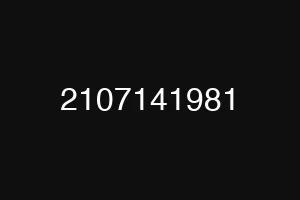 2107141981