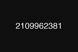 2109962381
