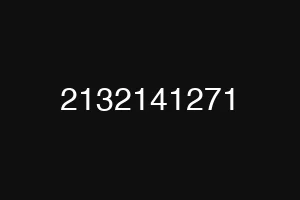 2132141271