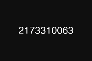 2173310063