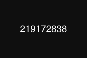 219172838