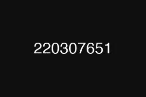 220307651