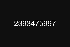 2393475997
