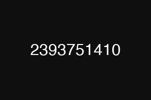 2393751410