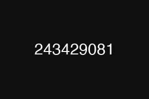 243429081