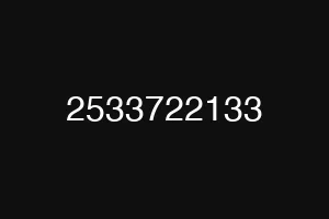 2533722133