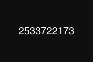 2533722173