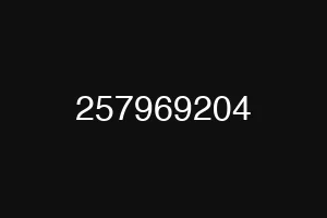 257969204