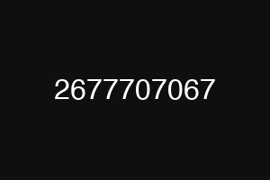 2677707067