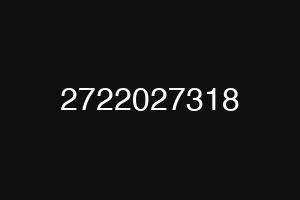 2722027318