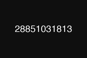 28851031813