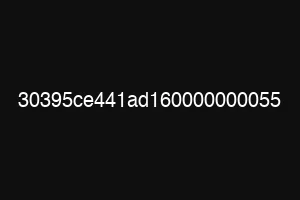 30395ce441ad160000000055