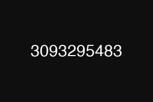3093295483