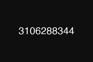 3106288344