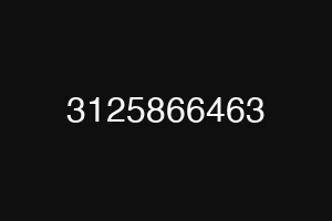 3125866463