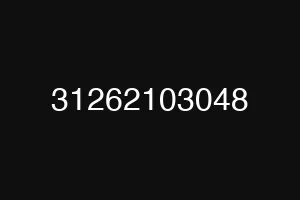 31262103048