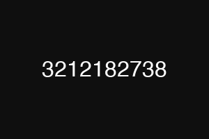3212182738