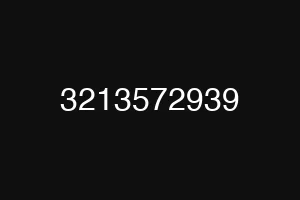 3213572939