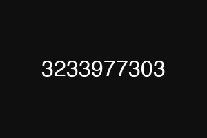 3233977303