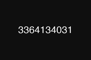 3364134031