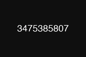 3475385807