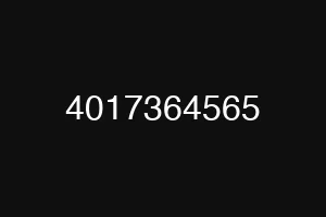 4017364565