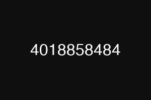 4018858484
