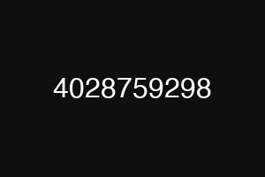 4028759298