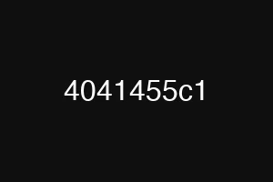 4041455c1