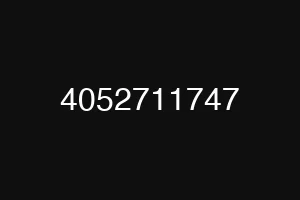 4052711747
