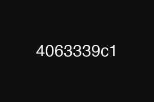4063339c1