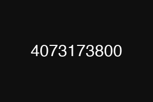 4073173800