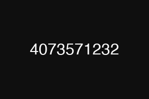 4073571232