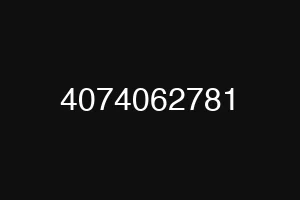4074062781